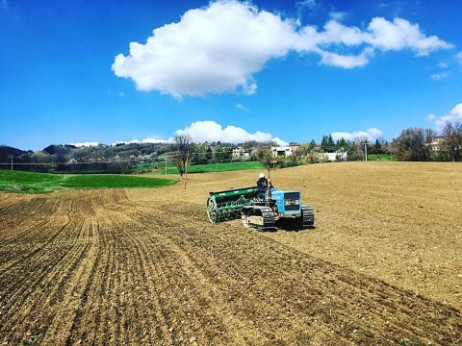 Agriturismo Tizzano Val Parma