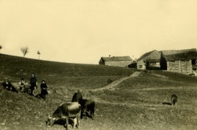 La Corte di Boceto Carpaneto di Tizzano Val Parma