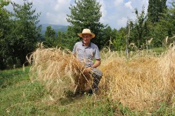 La Corte di Boceto Carpaneto di Tizzano Val Parma biologico