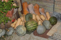 La Corte di Boceto Carpaneto di Tizzano Val Parma biologico