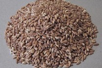 Farro Dicocco 0.5 Kg