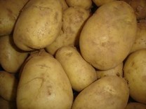 Patata Kennebec 1 Kg