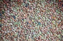 Lenticchie 0.5 Kg