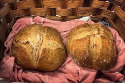 Pane La Corte di Boceto Carpaneto di Tizzano Val Parma biologico